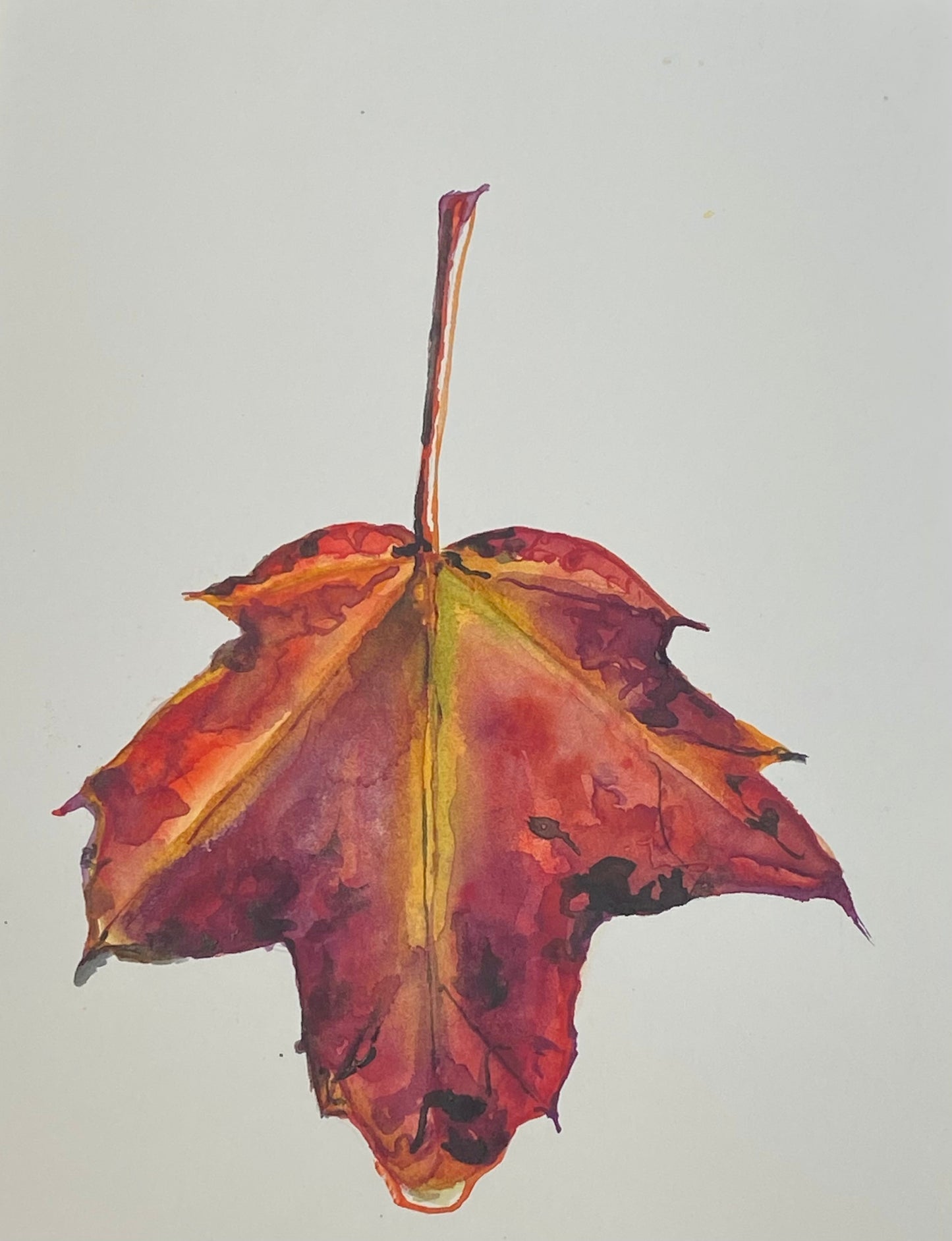 Daily Leaf 263