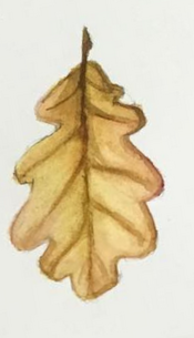 Daily Leaf 032