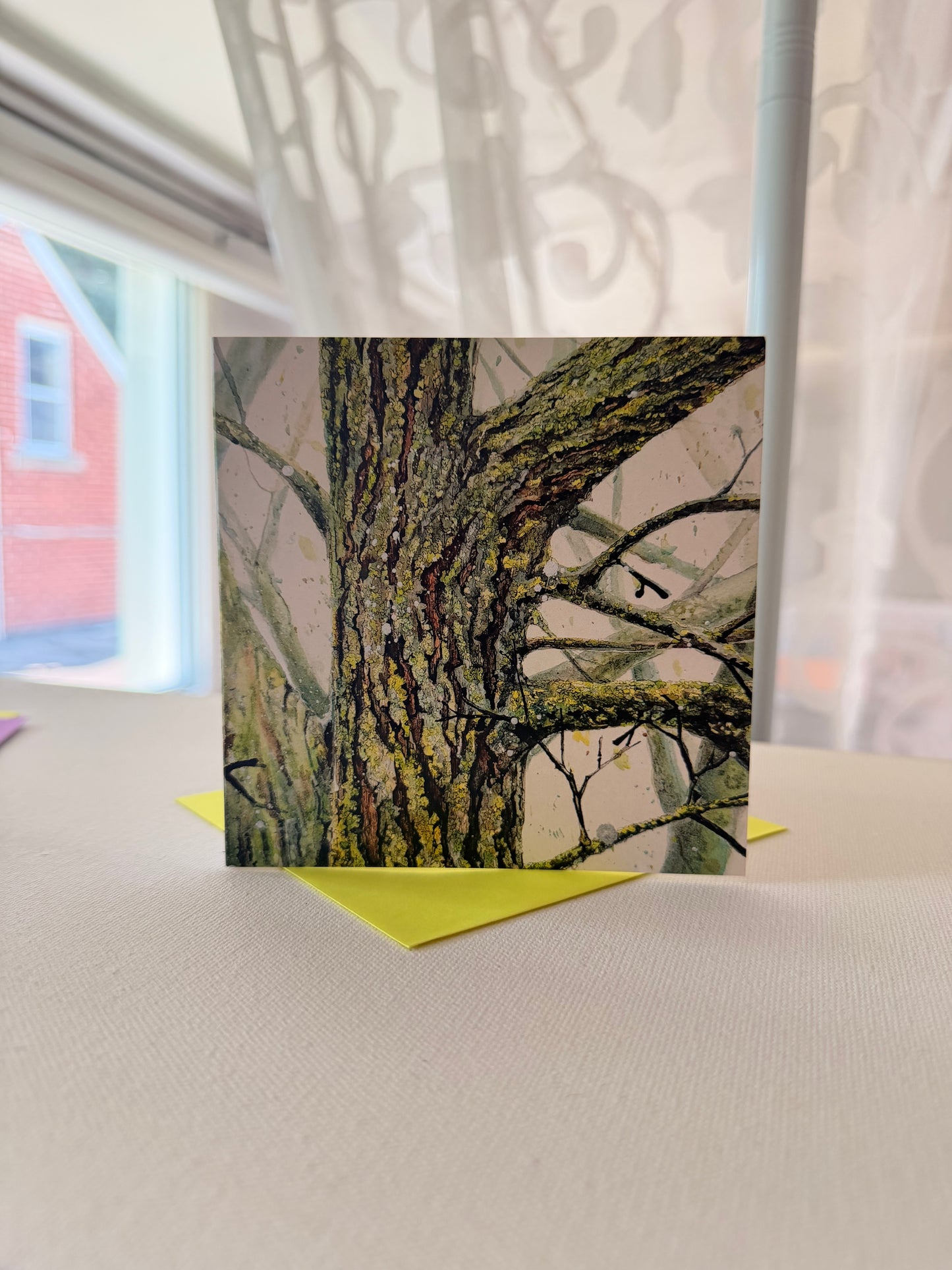 Blank Occasion Card Rainy Day Fireflies