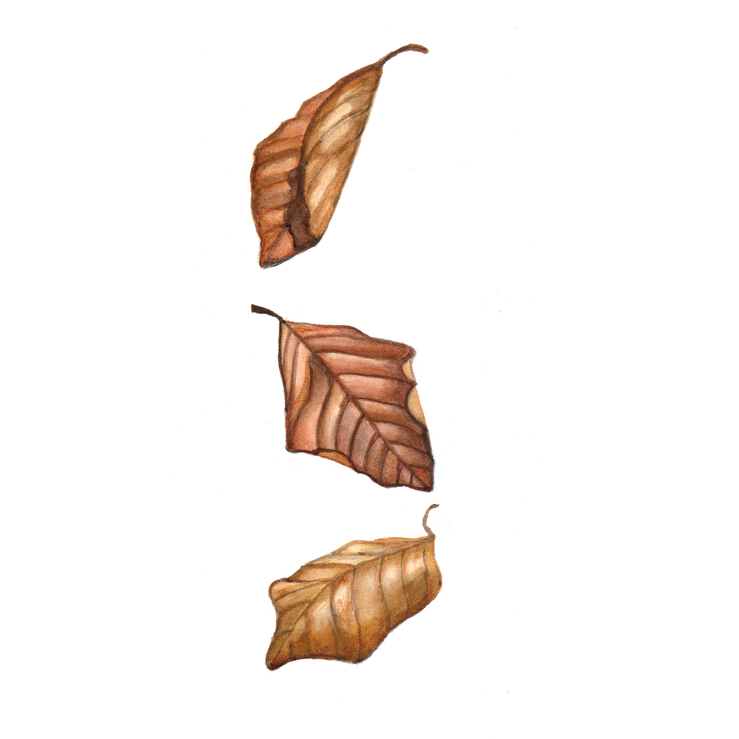 Daily Leaf 088-090