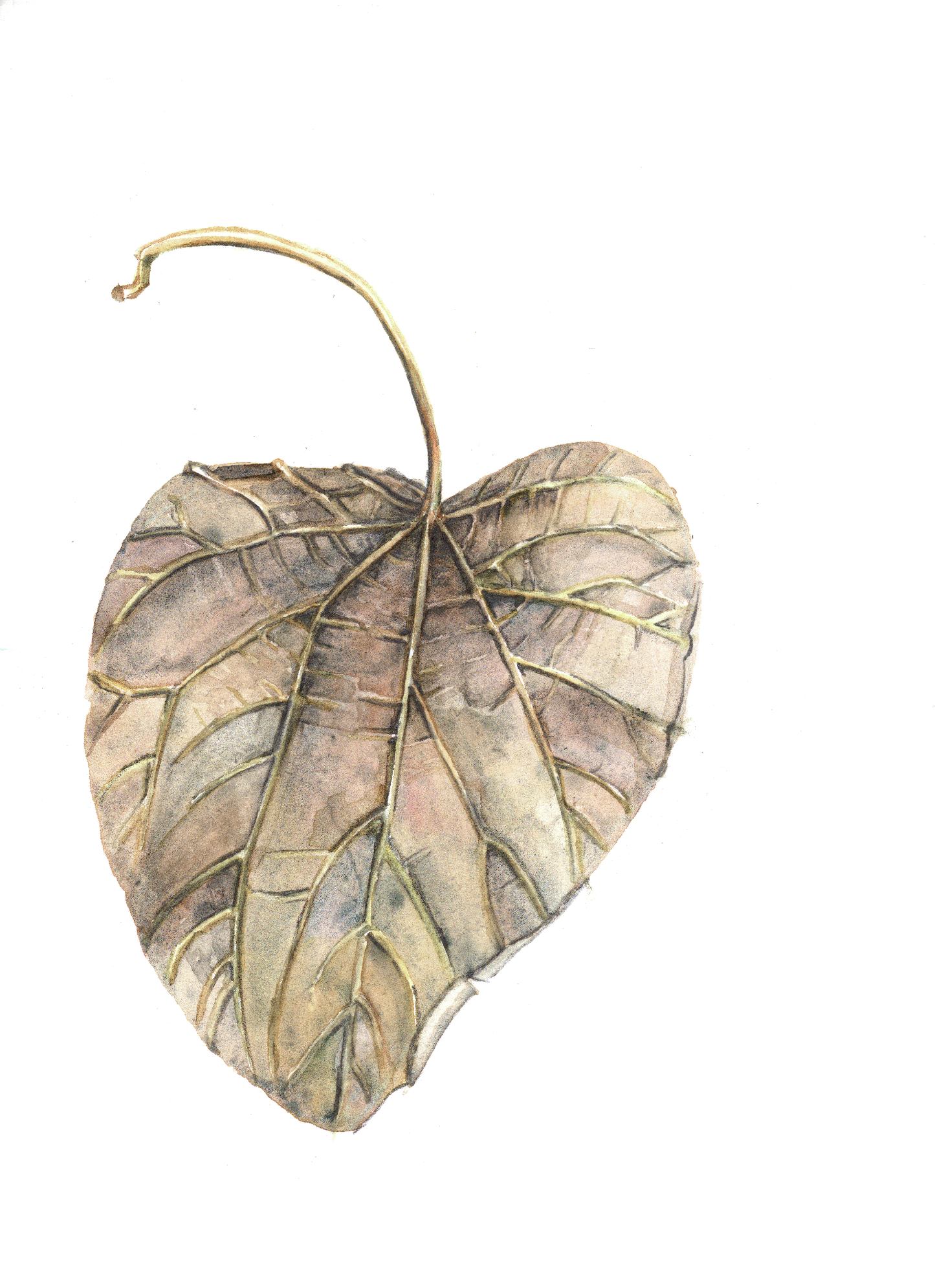 Daily Leaf 050