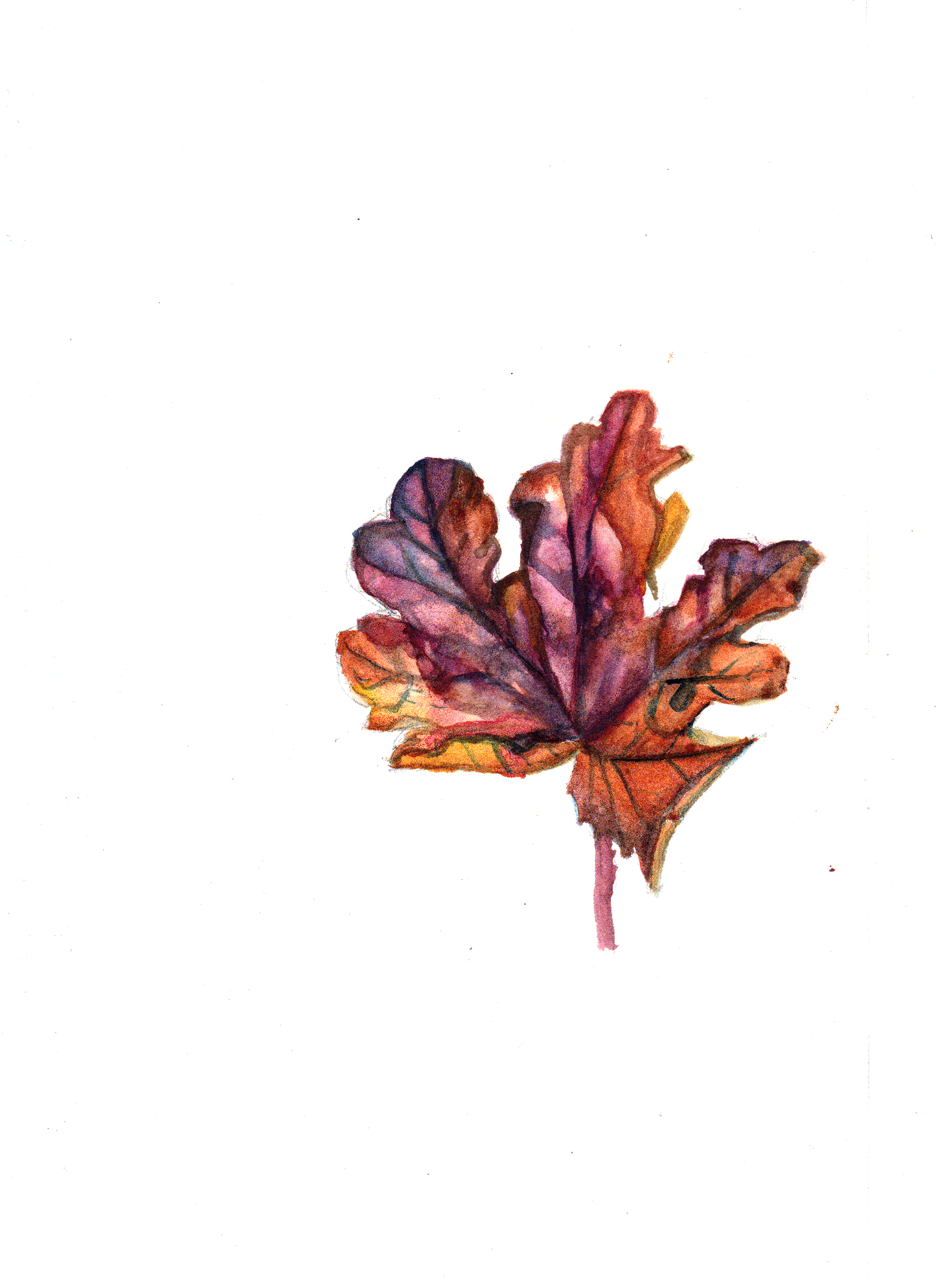 Daily Leaf 061