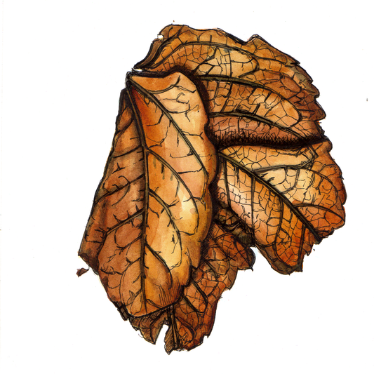 Daily Leaf 087