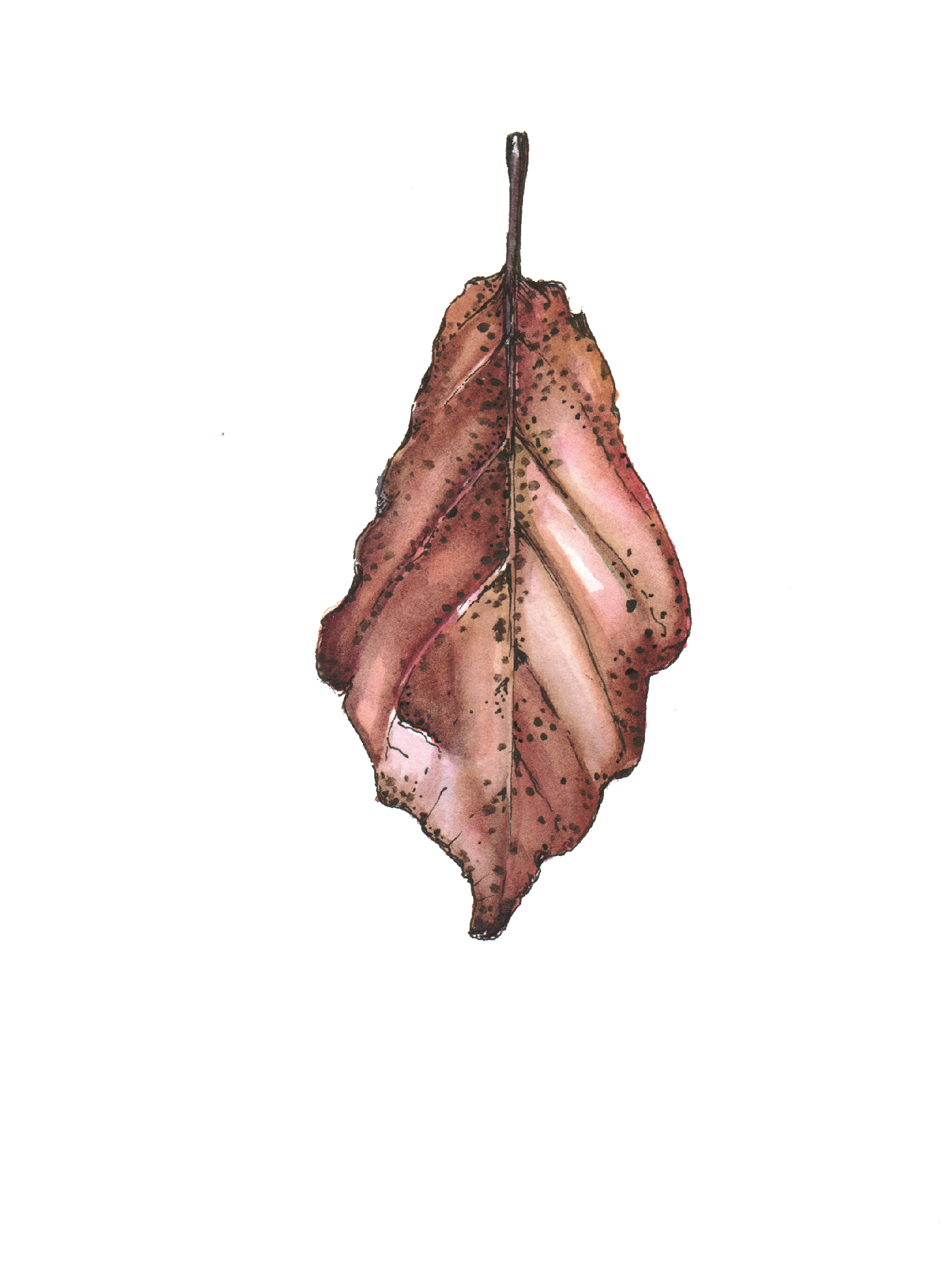 Daily Leaf 026