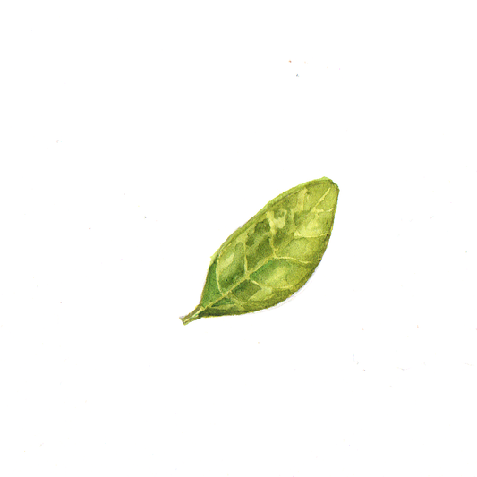 Daily Leaf 122