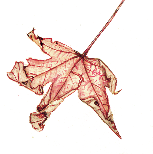 Daily Leaf 236