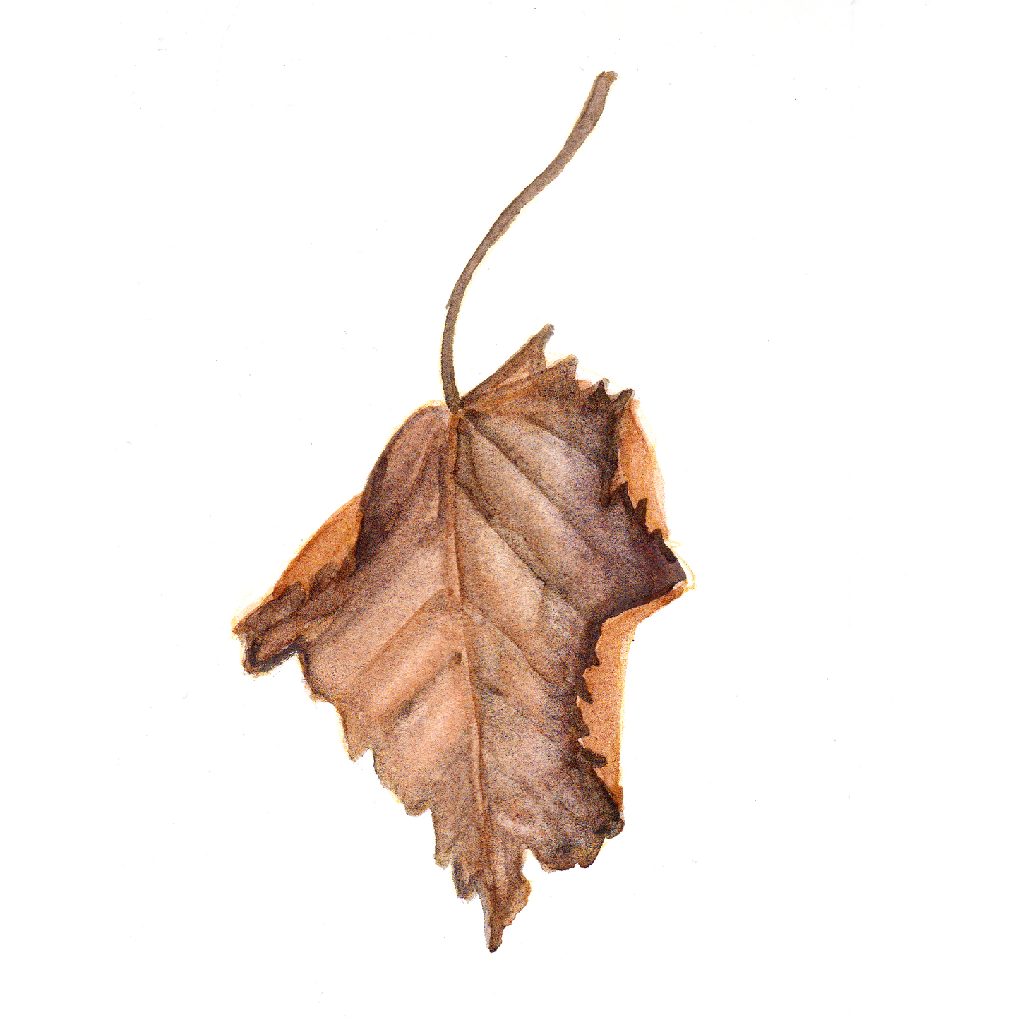 Daily Leaf 082