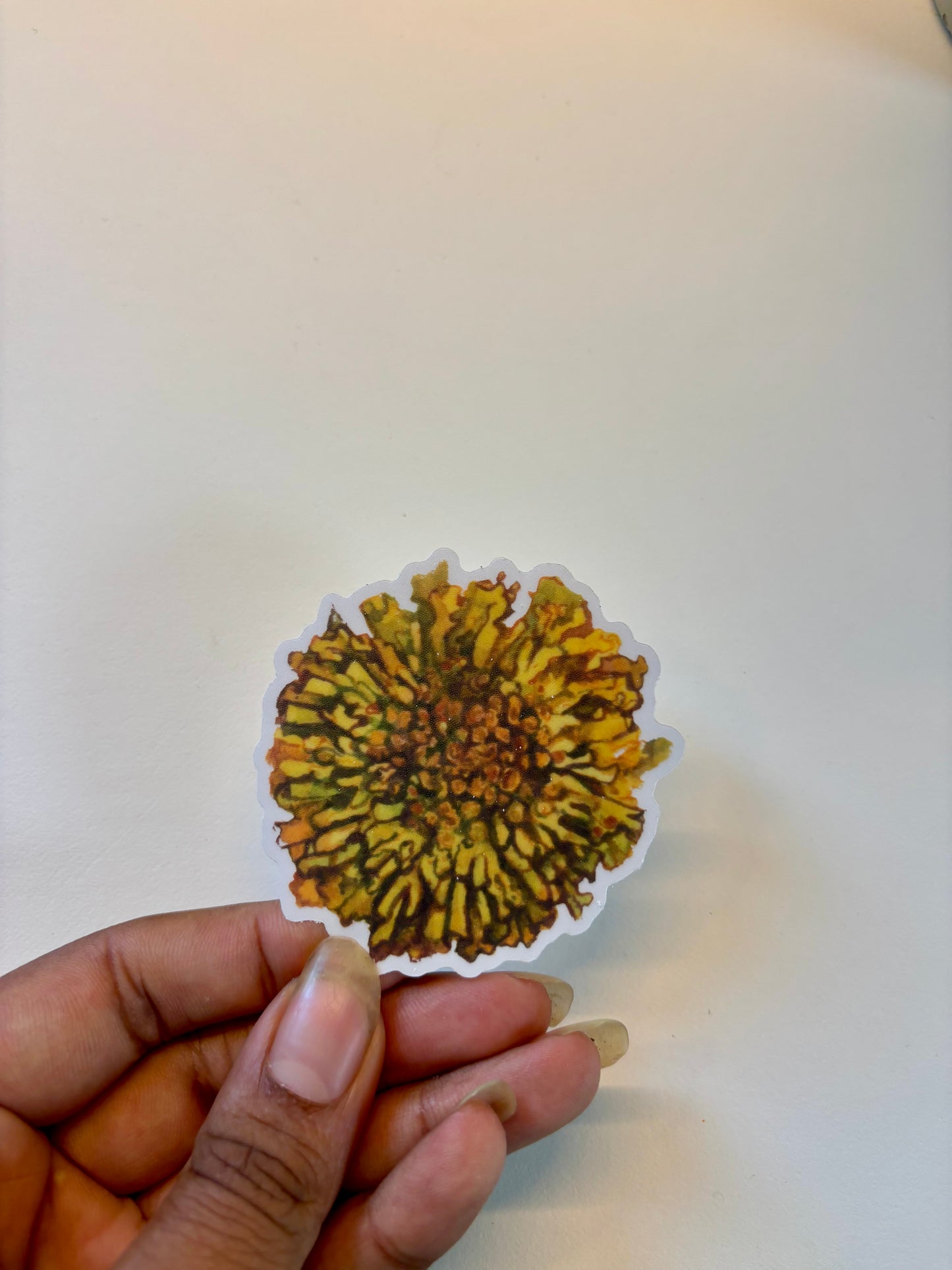 Sunburst Lichen Sticker