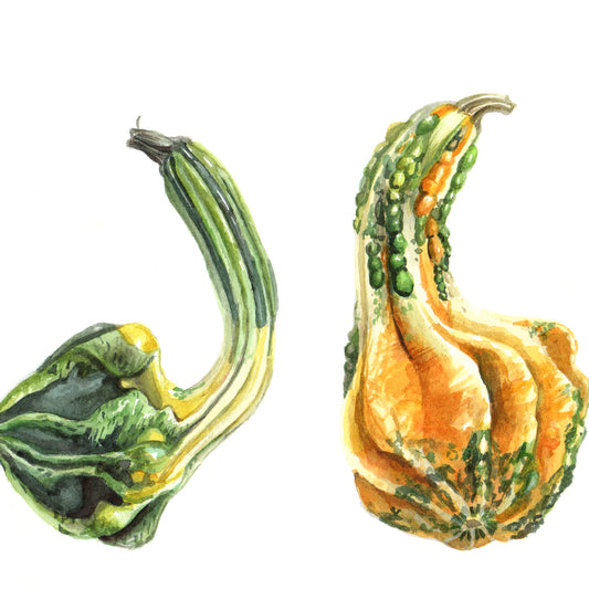 Gourds