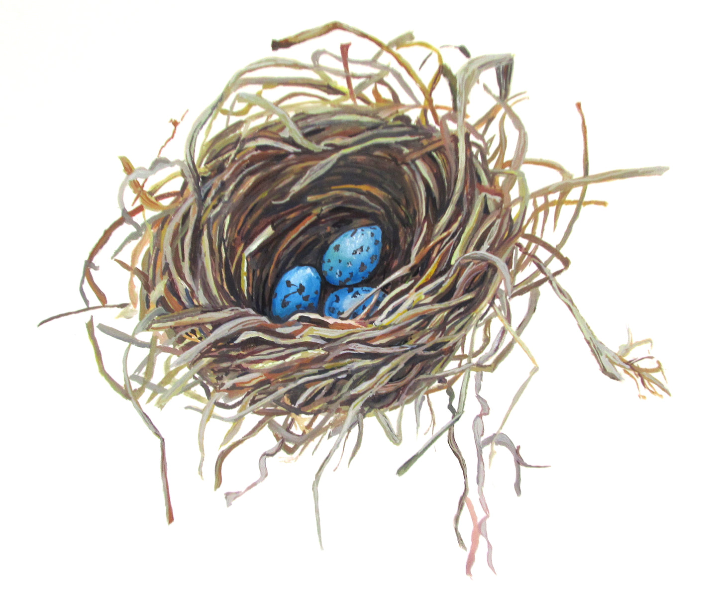 Occasion Card(Nest)