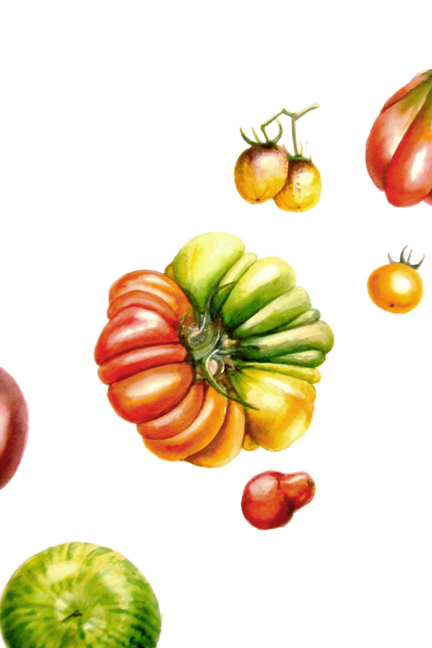 Heirloom Tomatoes - Blank Greeting Card