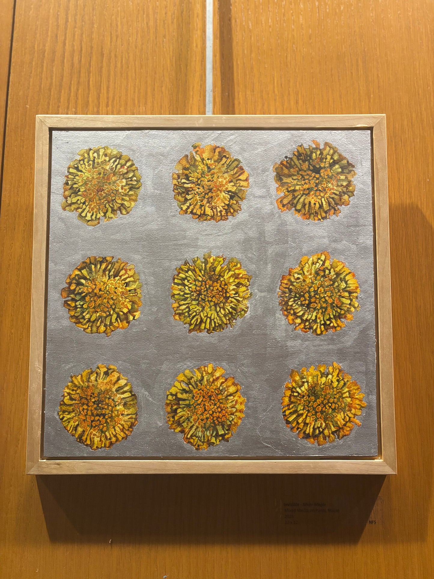 Invisible on Repeat - Sunburst lichen (Xanthoria parietina) on Silver Maple