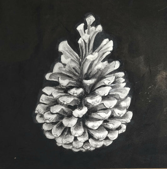 Pinecone - Carbon Dust Illustration