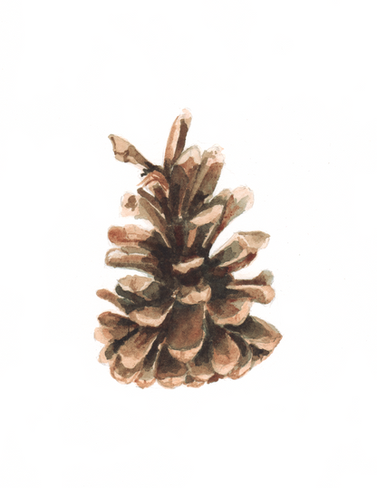 Occasion Card (Pinecone)