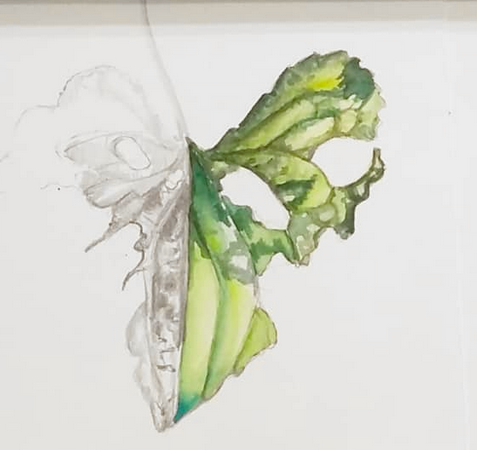 Daily Leaf 253