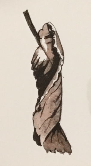 Daily Leaf 341