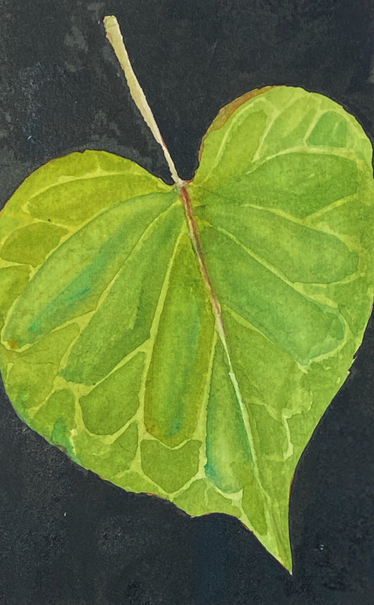 Daily Leaf 261