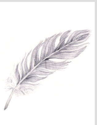 Occasion Card (Feather)