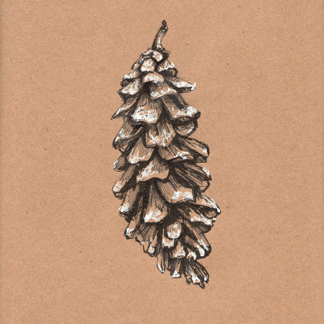 Glistening snow pinecone