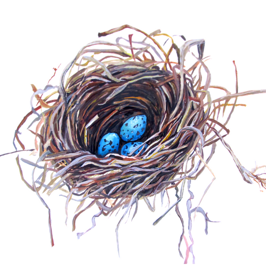 Robin's Nest