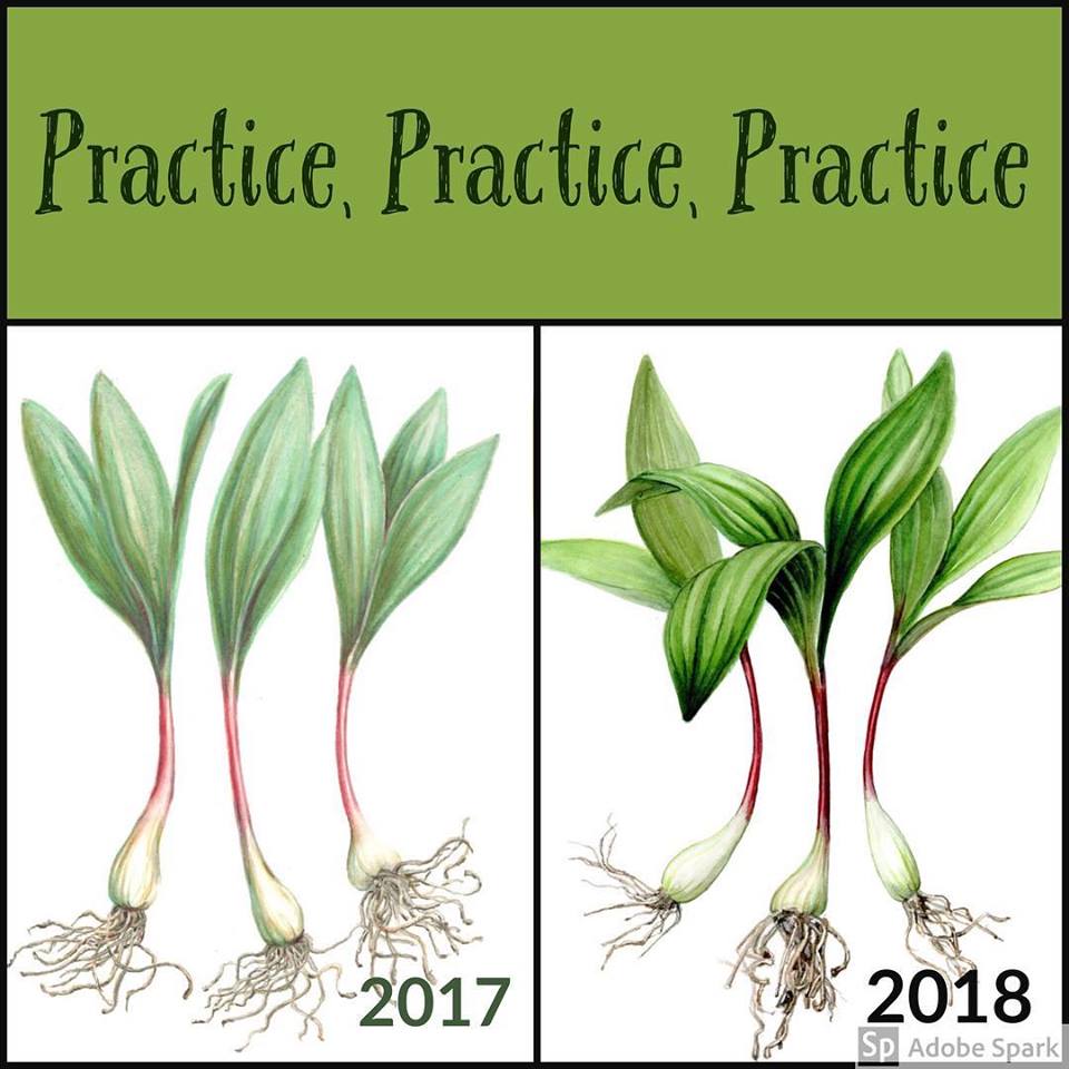 Ramps/Wild Leeks Before and After Picture